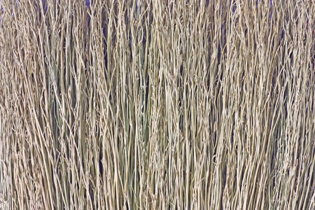 background with space for text or image. の写真素材