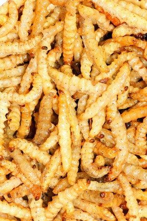 Close up shot of fry bamboo worms  it can eat and high protein.の写真素材