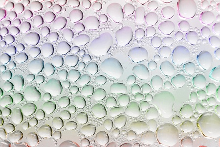 Dew drop on wallの写真素材