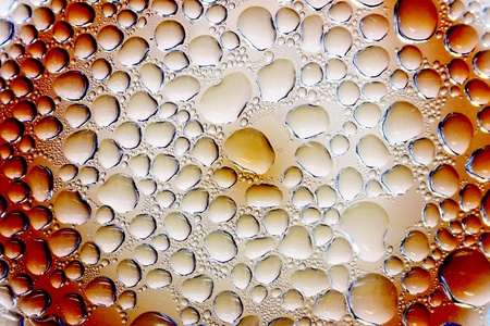 Dew drop on wallの写真素材