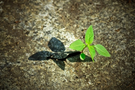 Concept of business break through 