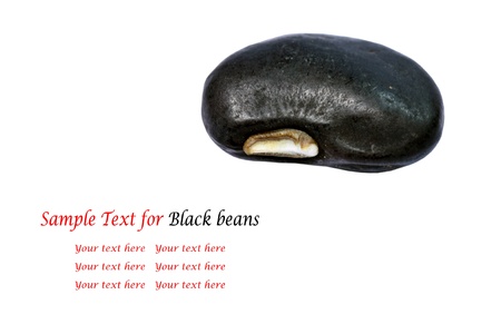 Black beans isolated on white の写真素材