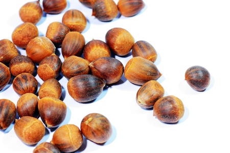 Hazelnuts with backgroundの写真素材