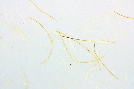 Mulberry paper for text backgroundの写真素材