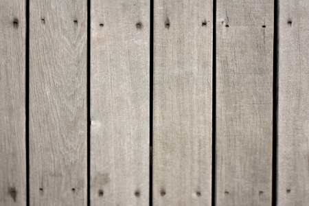 the brown wood texture with natural patterns 