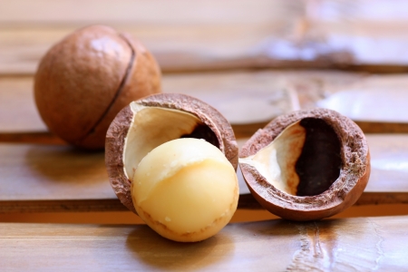 macadamia nuts の写真素材
