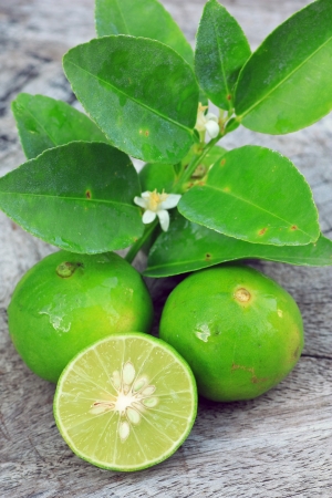 Fresh limes on wooden backgroundの写真素材