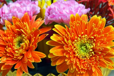 Bunch of flowers の写真素材