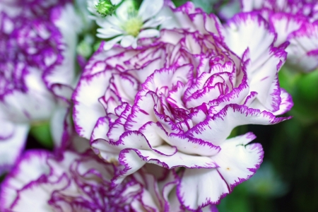 beautiful bouquet of bright flowers close-upの写真素材