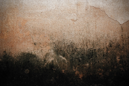 Dark wall texture for background の写真素材