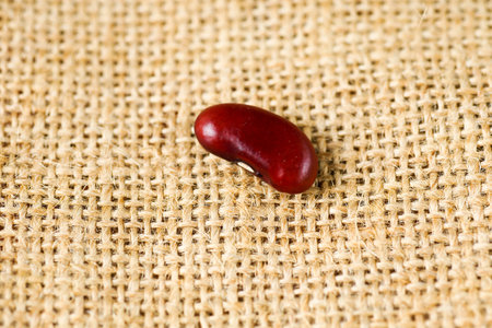 Red preserved Mexican Kidney Beansの写真素材