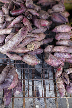 Red sweet potatoes (yams) in bulk at the farmers marketの写真素材