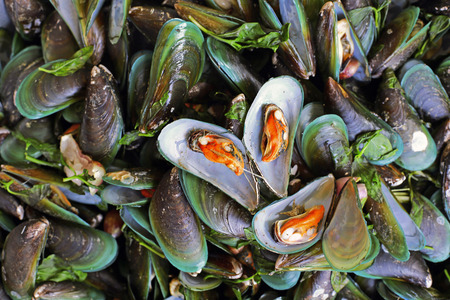 Fresh mussels at the market in Thailandの写真素材