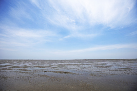 Dutch beach at Don Hoi Lot,Samut Songkhram Province,Thailand
