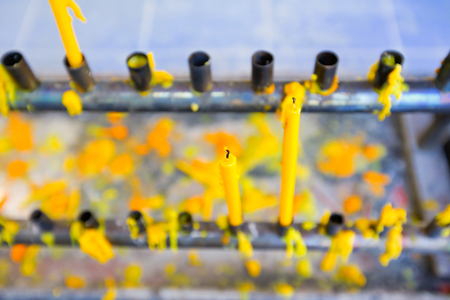 Group of burning candles on black background.の写真素材