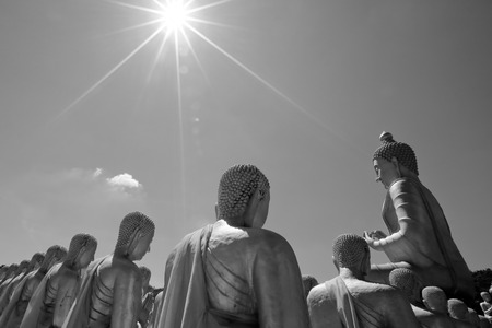 image of buddhaの写真素材