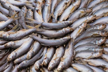 Traditional salted fish drying on racksの写真素材