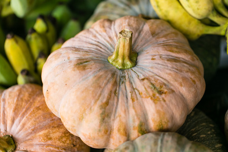 Raw multicolored pumpkins as a symbol of Halloween