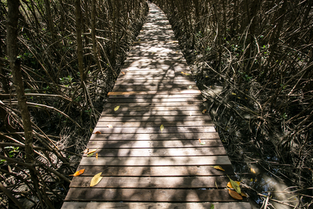 pathway in the field.Grunge and retro style.の写真素材