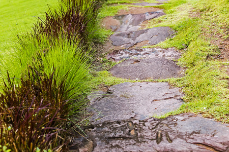 Decorative walkway in the parkの写真素材