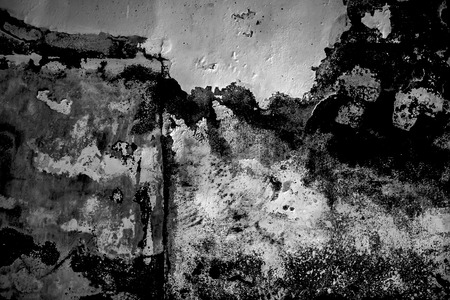 Background of stone wall texture
