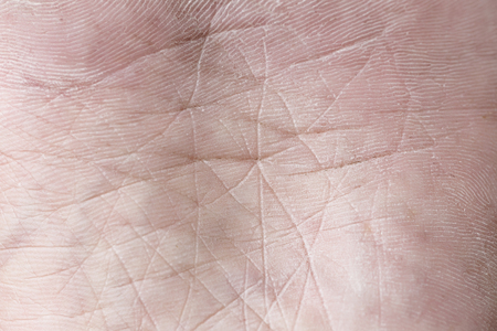 Macro shot of fingerprint backgroundの写真素材