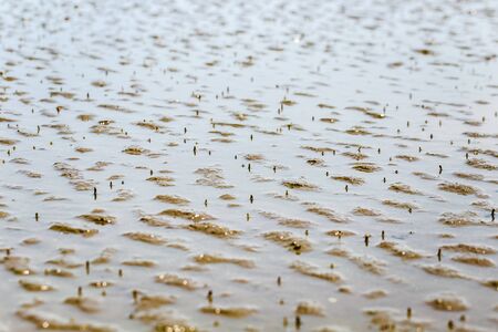 Soft wave of the sea on the sandy beachの写真素材
