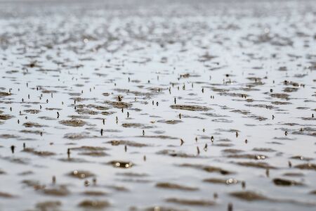 Soft wave of the sea on the sandy beach