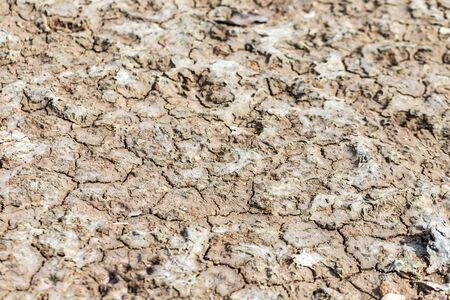 cracked clay ground into the dry season