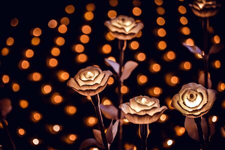 Flower lanterns on the field at nightの写真素材