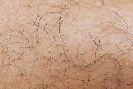 Mans hairy leg Macro shotの写真素材