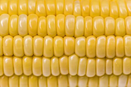 Sweet corn is a plant that is high in nutrients, high in fiber.