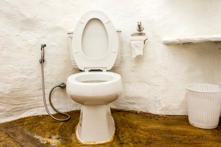 flush toilet in toilet room.の写真素材