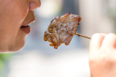 Grilled pork with sticky rice is an easy-to-eat food for Thai peopleの写真素材