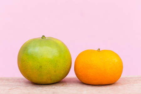 Oranges laid on the backgroundの写真素材