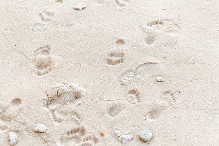 Footprints on the sand. Footprints in the sand. Footprints in the sand.の写真素材
