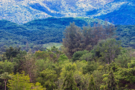 Beautiful view of the mountains and forests of the Sierra Nevada in Spain