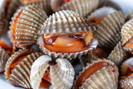 Close-up of fresh cockles on white background. Seafood