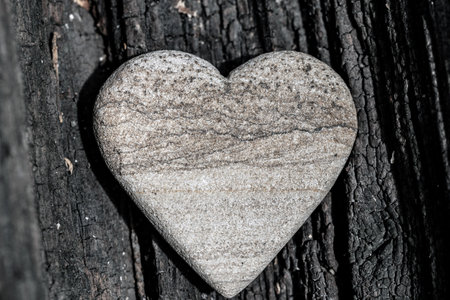 Heart shaped stone on a wooden background. Black and white photo.の写真素材