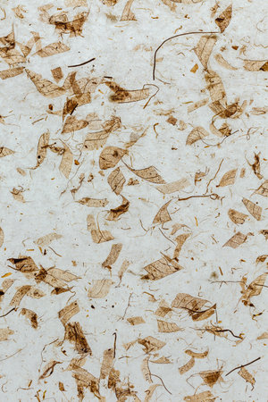 Old paper texture with dried leaves. Abstract background and texture for design.