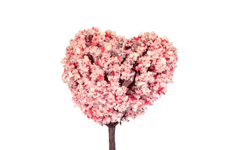 Heart shaped tree isolated on white background. Valentine's day concept.の写真素材