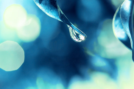 Water drop on blue bokeh background. Water drop close upの写真素材