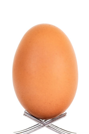 egg isolated on a white background. studio. photo icon for food blogの写真素材