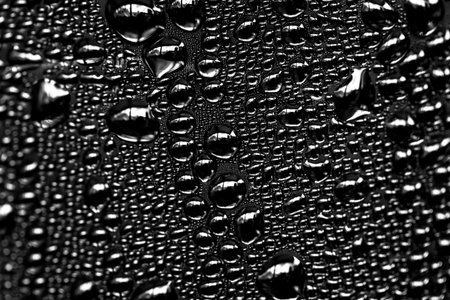 Drops of water on a black background. Black and white.の写真素材