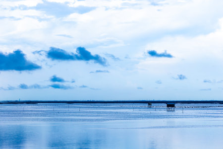 Blue sky and white clouds over the sea in the evening.