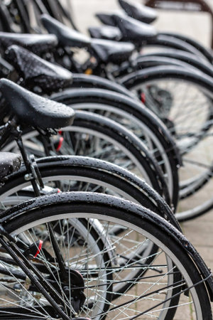 Row of bicycles covered with rain drops in a parking lot in Amsterdam