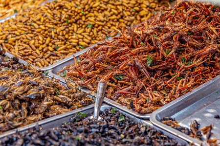 Fried insects on display at a market in Istanbul, Turkey.