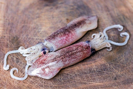 Fresh squid on a wooden background. Raw squid close-up.