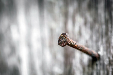 Old rusty nail on a wooden background. Shallow depth of field.