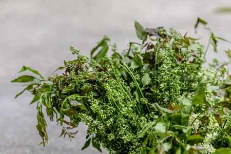 Bunch of fresh green herbs on a concrete background. Selective focus.